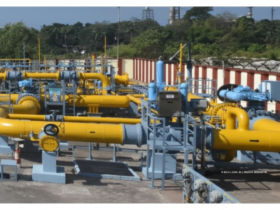 Gemini_Generated_Image_5niu605niu605niu