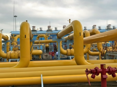 Gemini_Generated_Image_7hj5tg7hj5tg7hj5